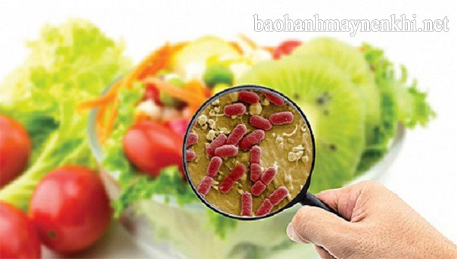 thực phẩm dễ bị ngộ độc | baohanhmaynenkhi.net